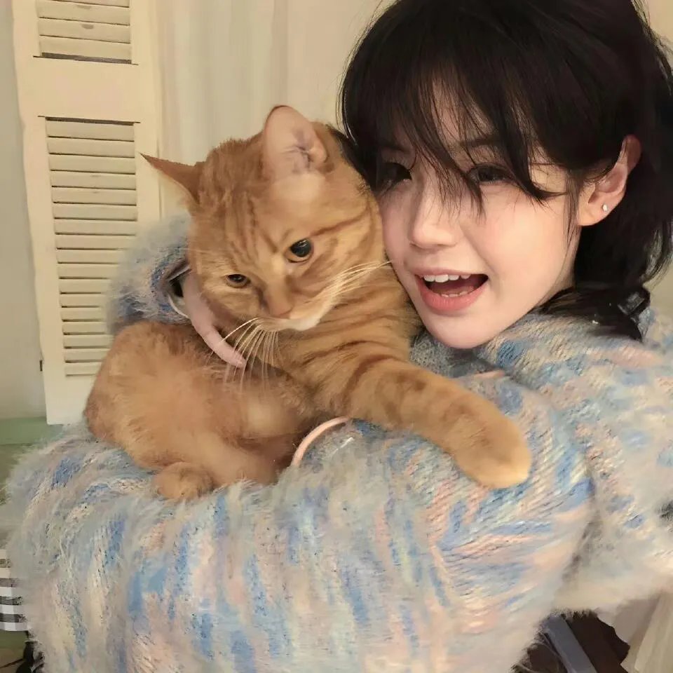 我辈自有凌云志